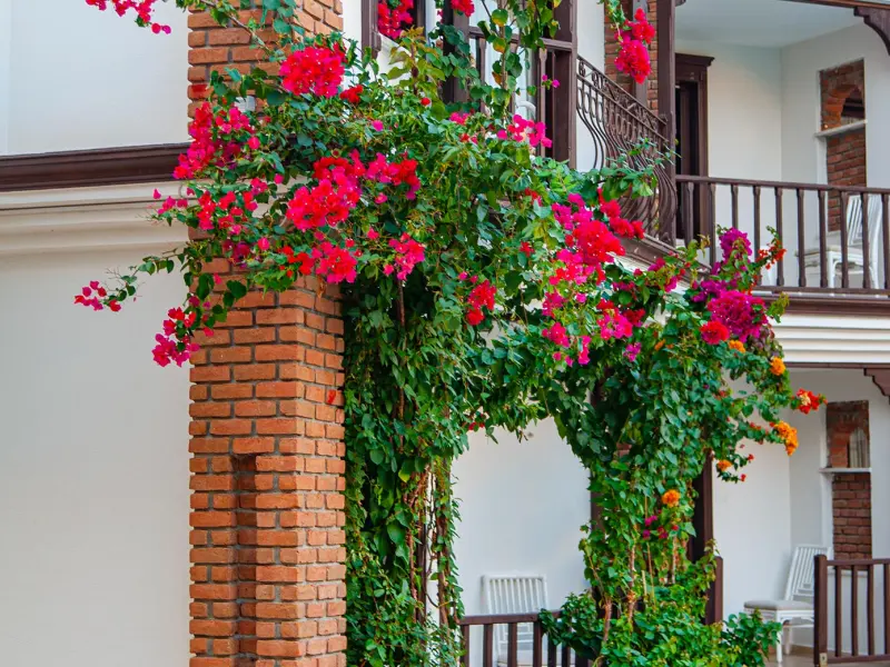 Dalyan Hotel Nish Caria 22