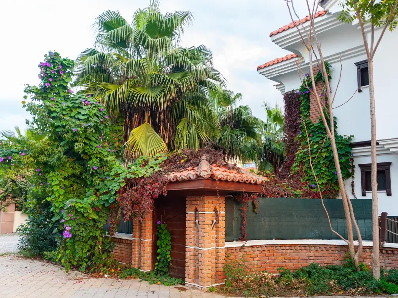 Dalyan Hotel Nish Caria 29