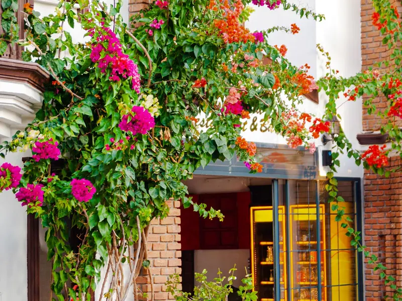 Dalyan Hotel Nish Caria 39