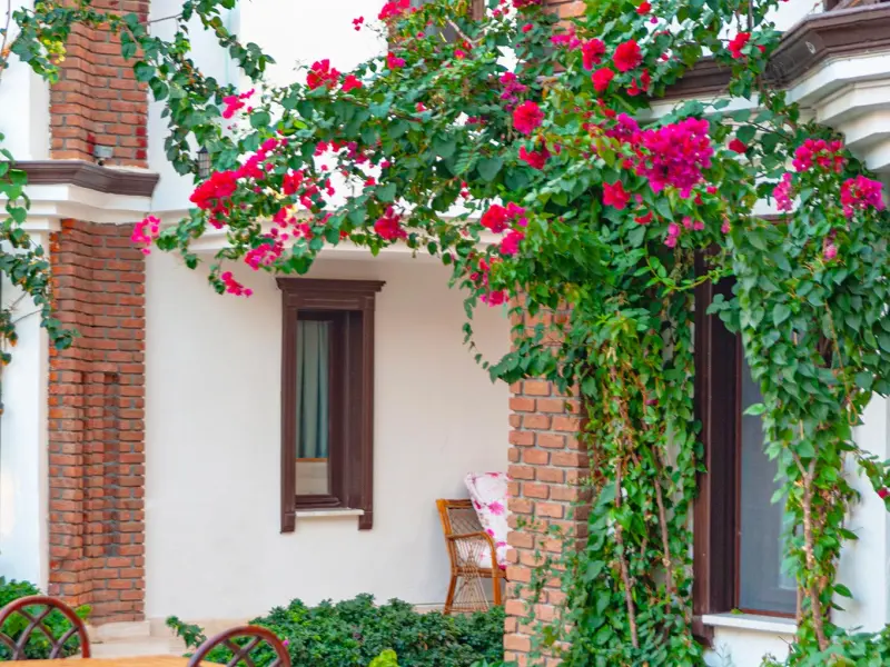 Dalyan Hotel Nish Caria 6