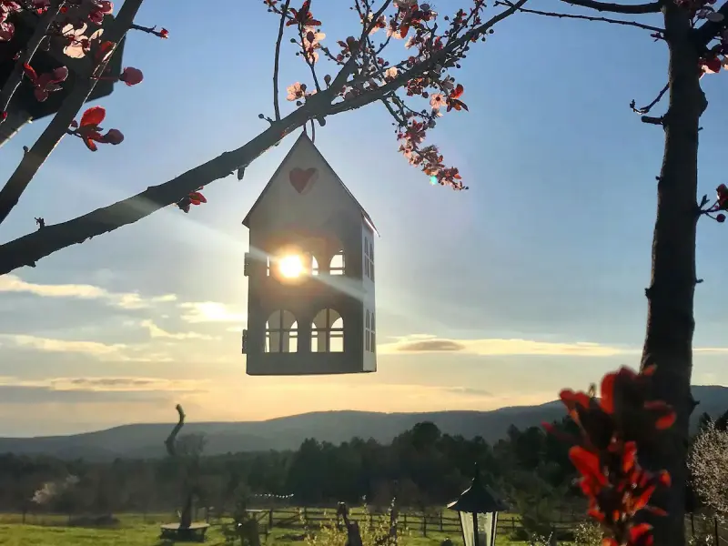 Sekoya Dağ Evi / Sekoya Mountain Lodge 8