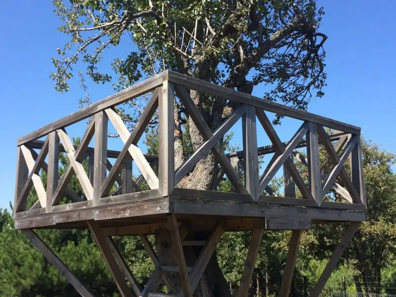 Sekoya Dağ Evi / Sekoya Mountain Lodge 10