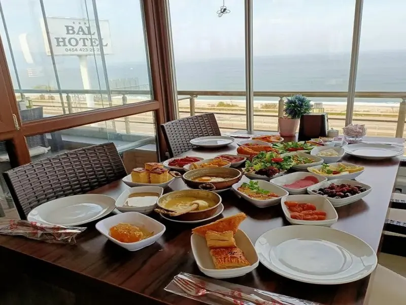 Bal Mini Otel 6