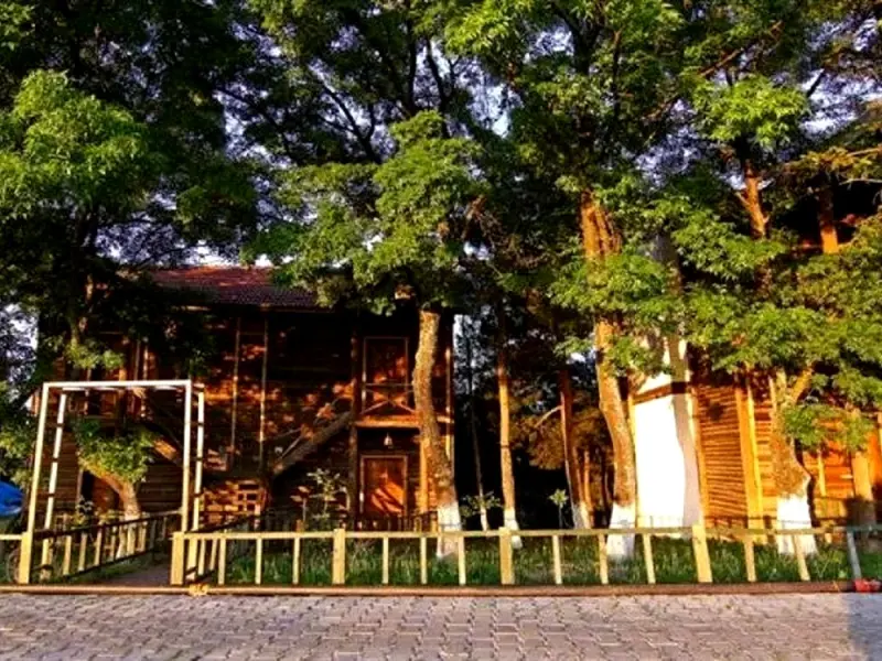 Ahsap Park Hotel 6