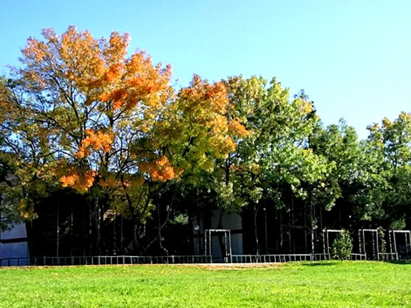 Ahsap Park Hotel 9