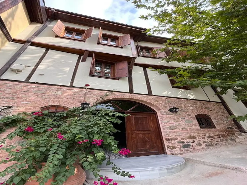 Trilye Taşev 3