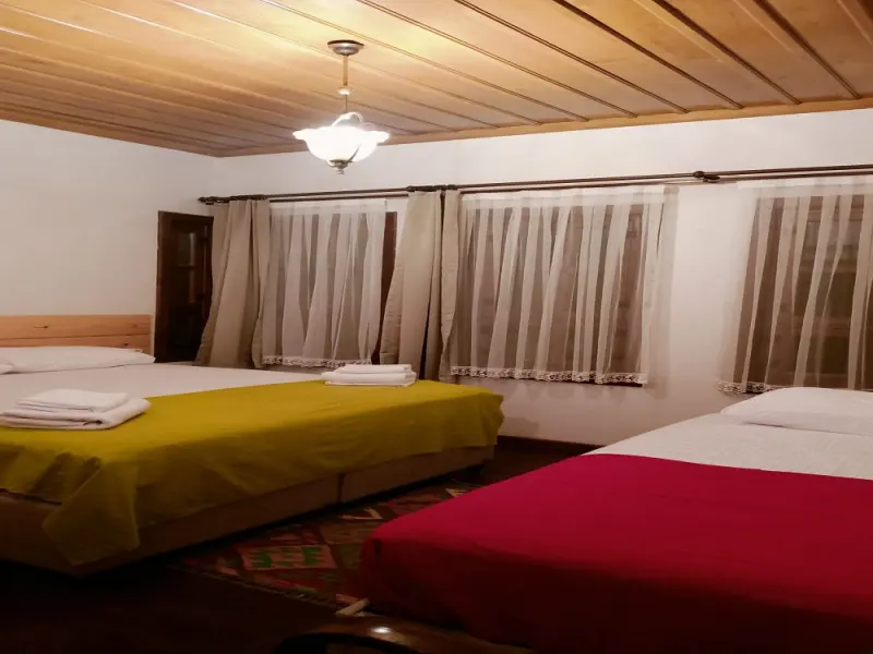 Trilye Taşev 6