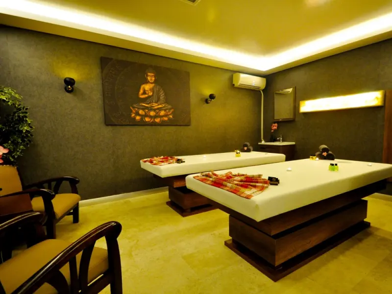 Black Bird Thermal Hotel 9