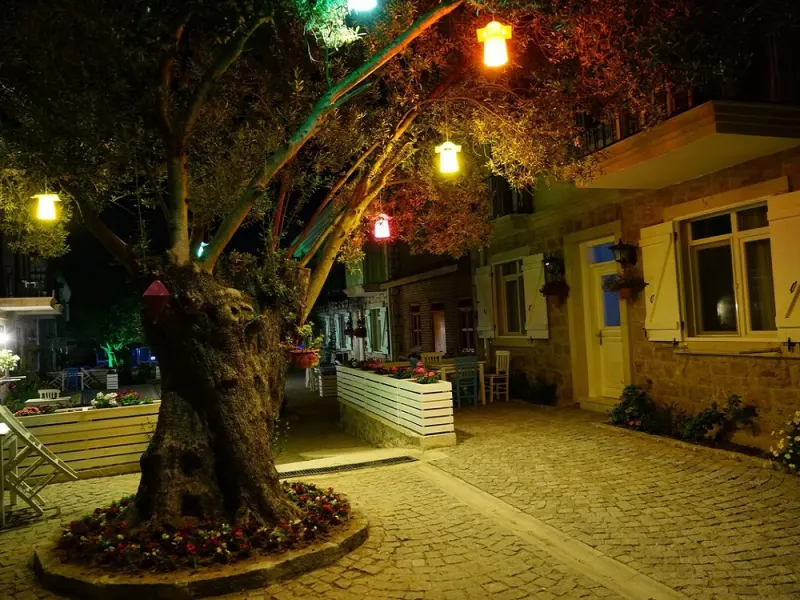 Zeytin Arası Apart Otel 20