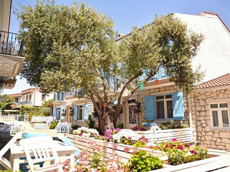 Zeytin Arası Apart Otel 9