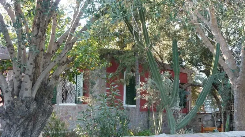 Medusa House Butik Otel 12