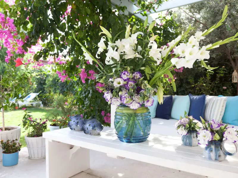 Alura Boutique Hotel 4