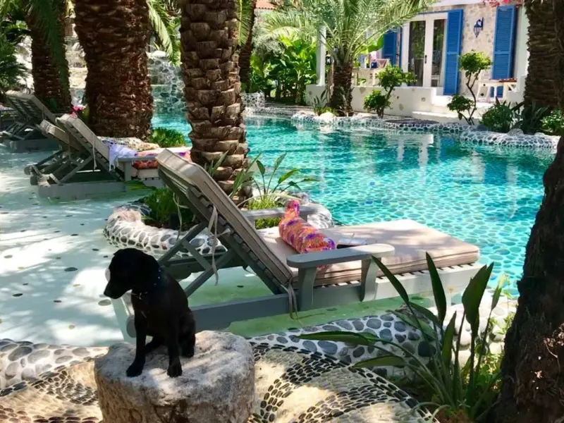 Flamingo Hotel Spa 31