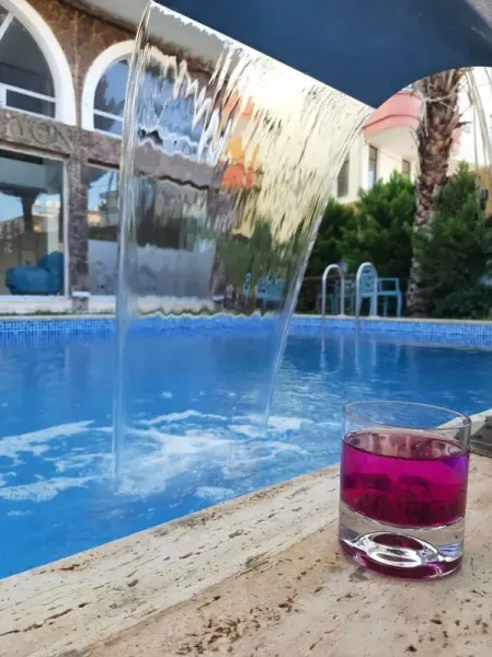 Anatolia Suit Hotel 8