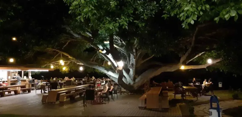 Marvel Tree Hotel 29