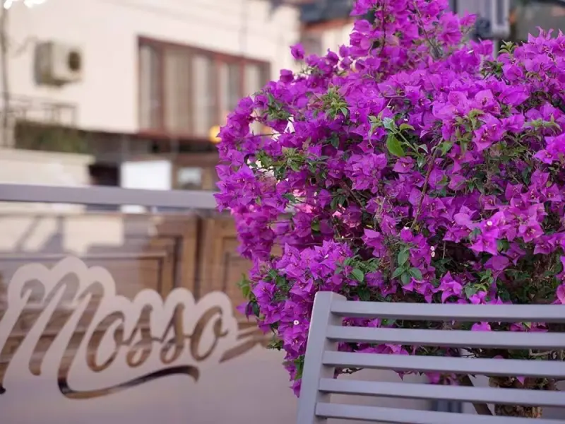 Mosso Boutique Hotel 3