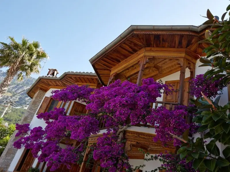Villa Vali Akyaka Apart 1
