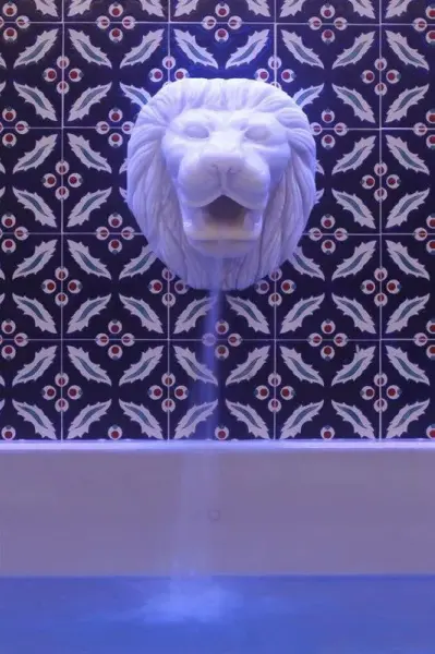 Anemon Bursa Gönlüferah Thermal&Spa 5