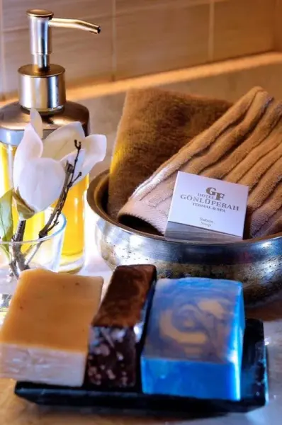 Anemon Bursa Gönlüferah Thermal&Spa 9