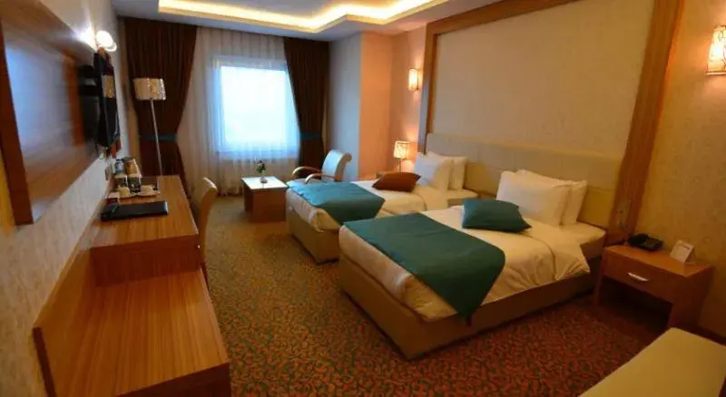 Tasar Royal Hotel 13