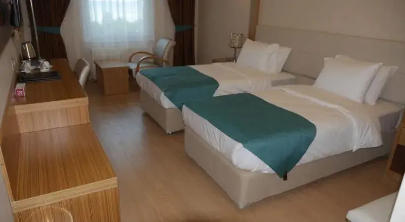Tasar Royal Hotel 21