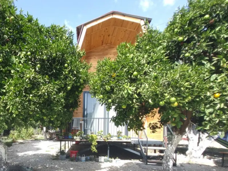 Orange Garden Bungalow 1