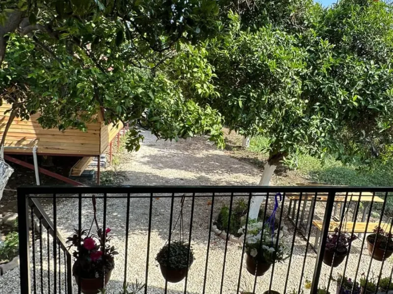 Orange Garden Bungalow 17