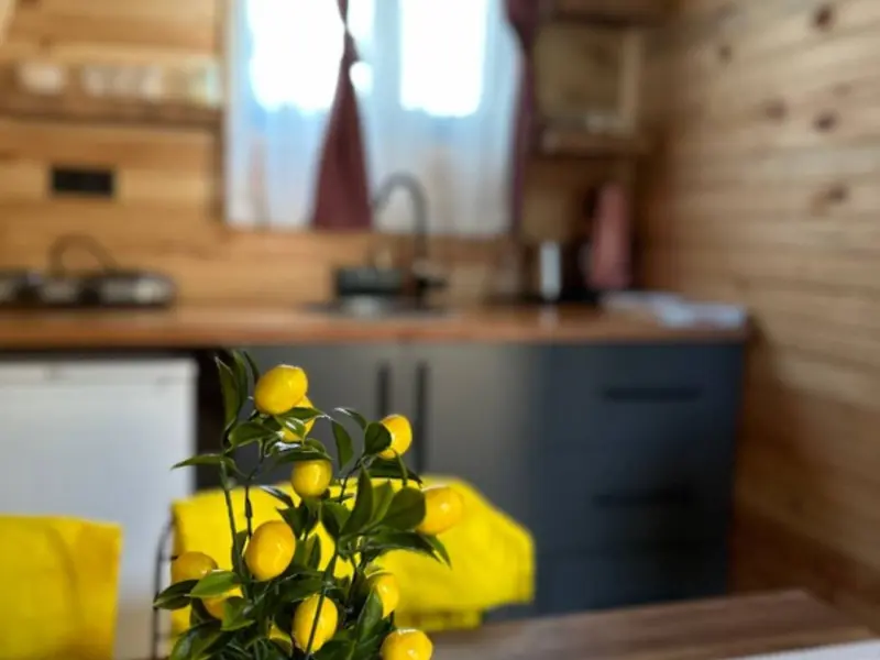 Orange Garden Bungalow 19