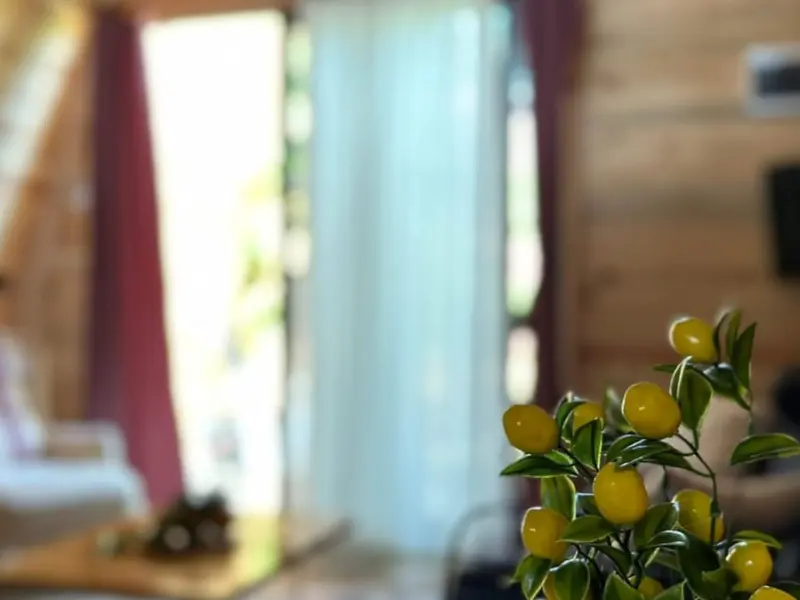 Orange Garden Bungalow 28