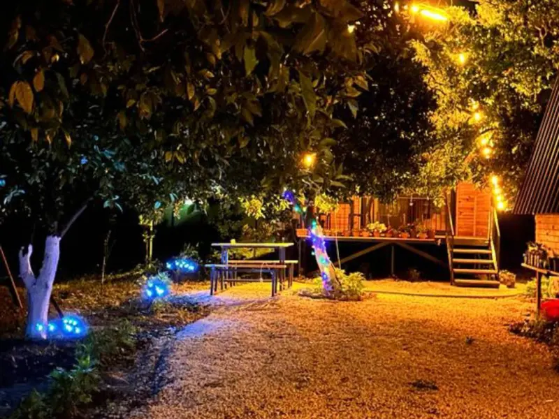 Orange Garden Bungalow 3