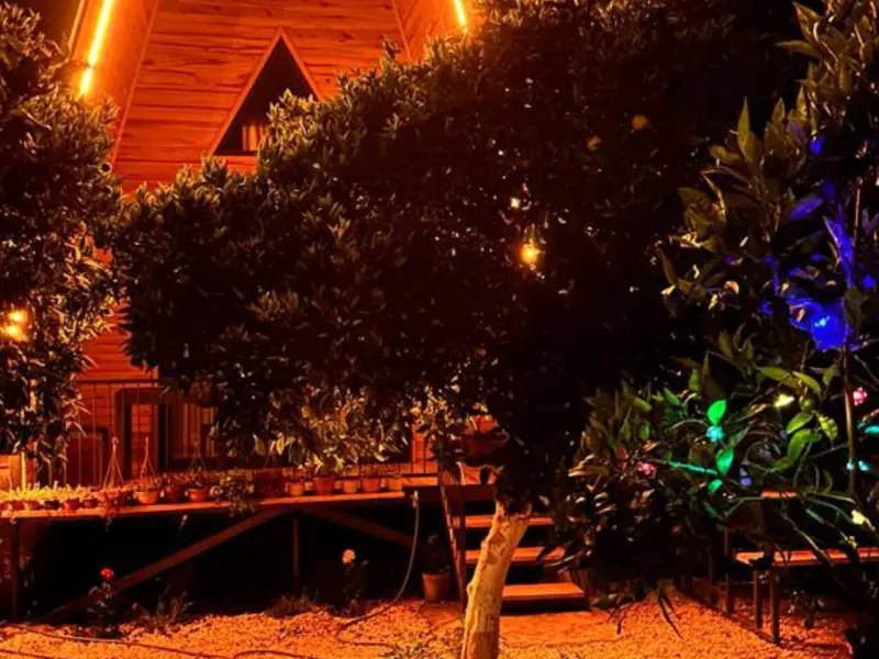 Orange Garden Bungalow 4