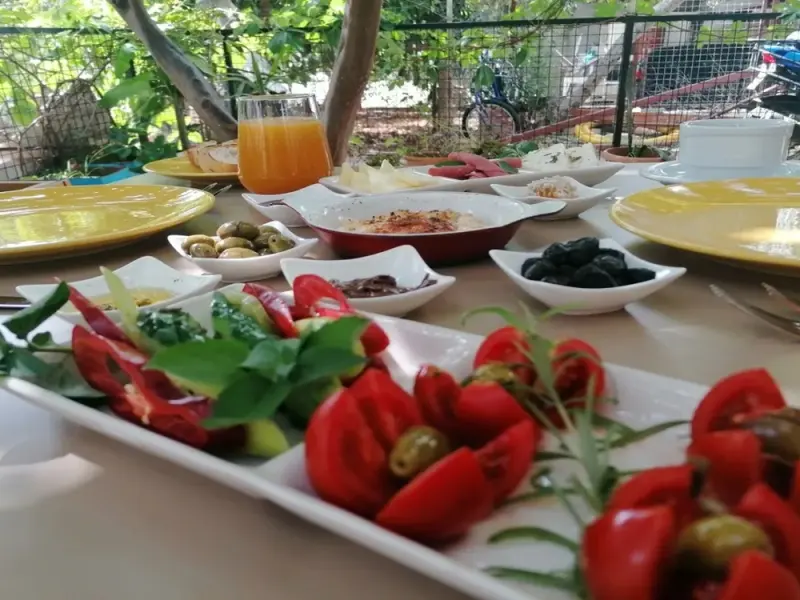 Çobanoğlu Otel 7