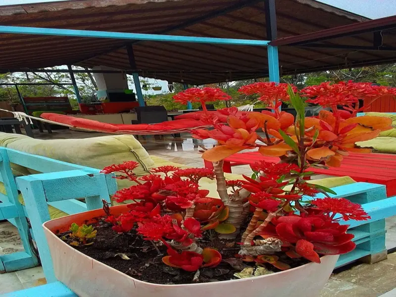 Tuthaliya Boutique Hotel 3