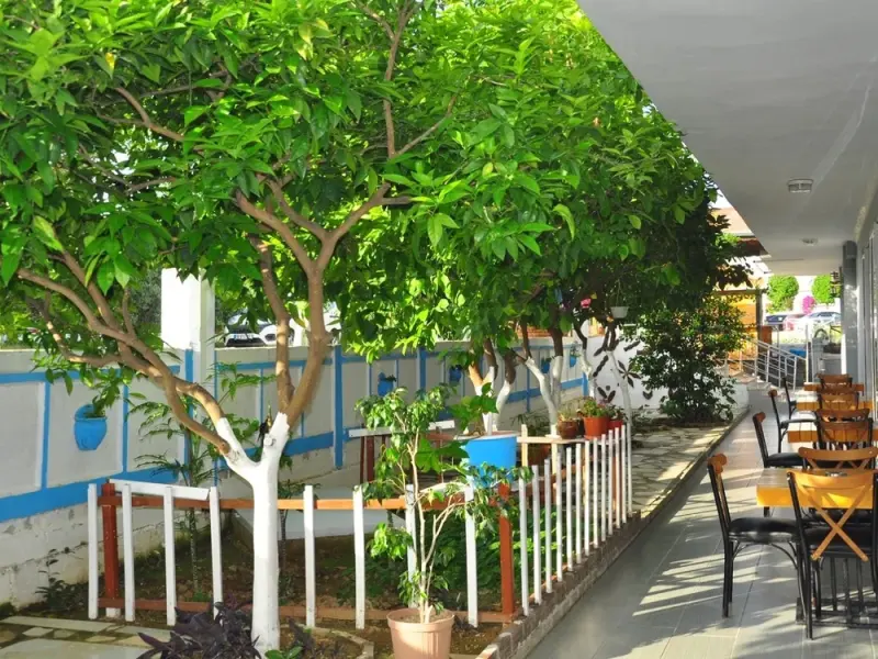 Side Spring Hotel 26