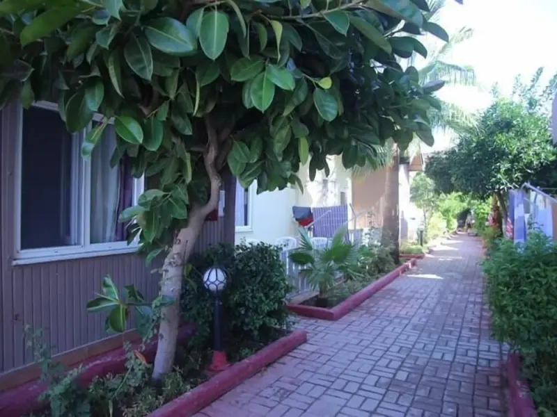 Sayanora Hotel 5