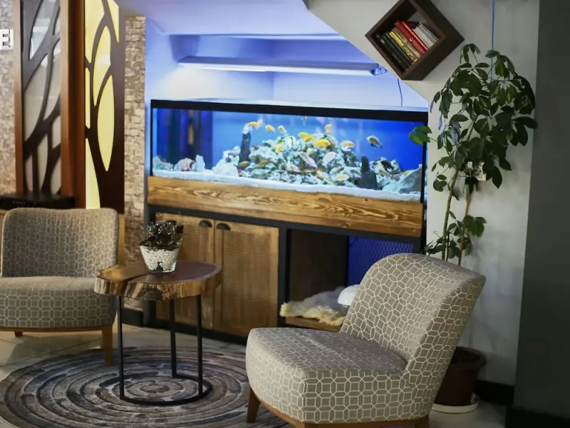 Zengin City Hotel 11