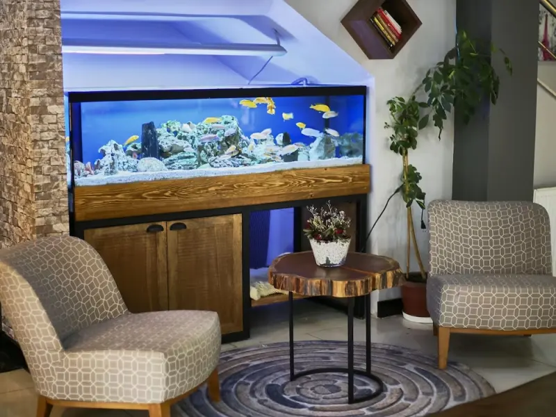 Zengin City Hotel 8