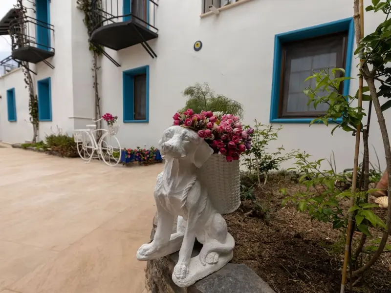 Bodrum Amfora Otel 13