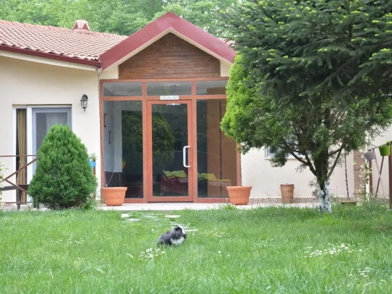 Alex Village Life Otel Kartepe 13
