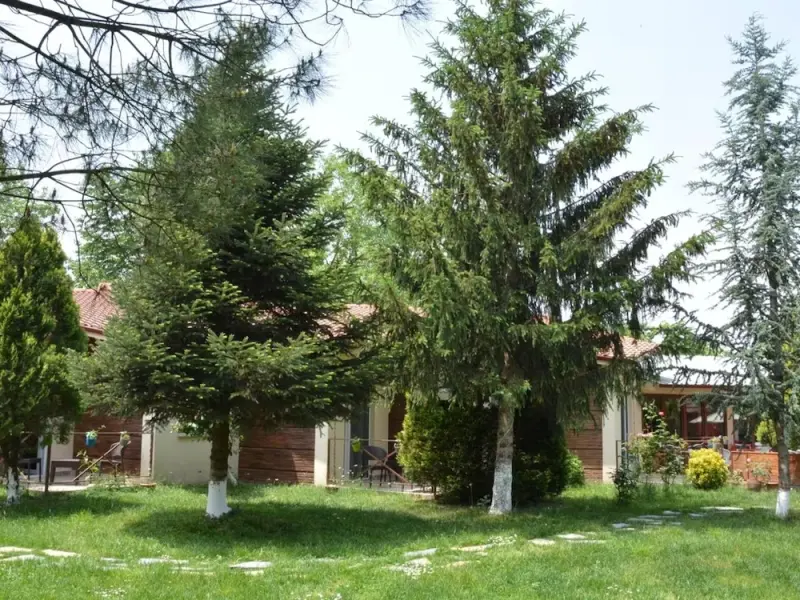 Alex Village Life Otel Kartepe 9