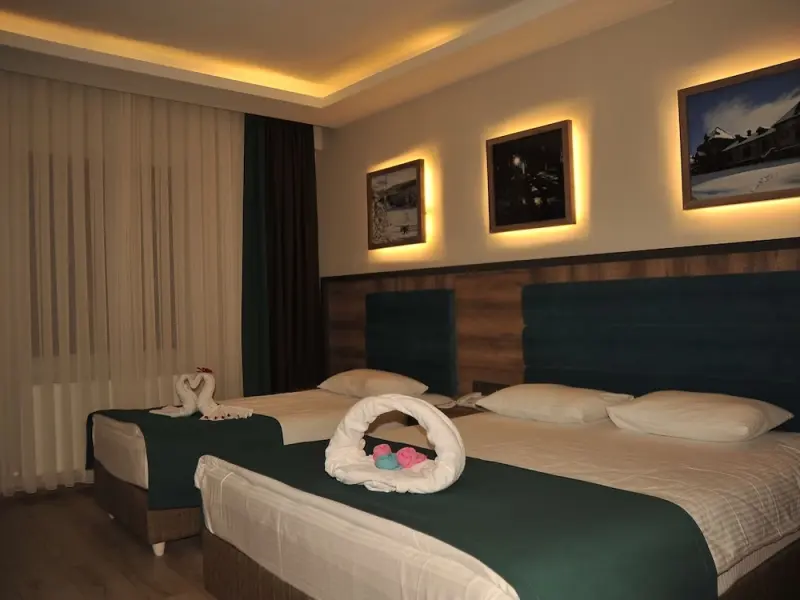 Sarıkamış Iceberg Hotel 5