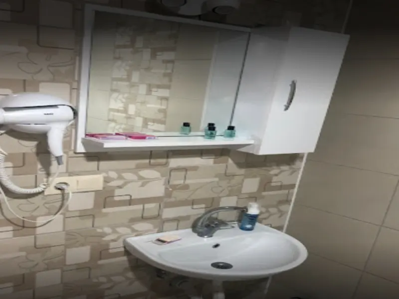 Altin Otel Sarikamis 5
