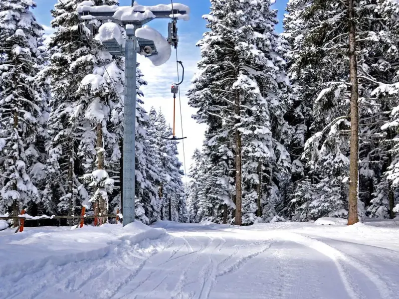 The Sign Esentepe Hotel & Ski Center 28