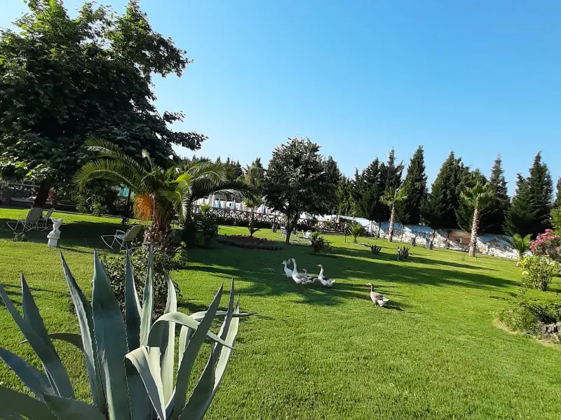 Mertur Otel 12