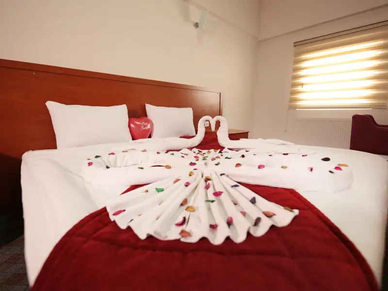 Erciyes Hill Hotel 10