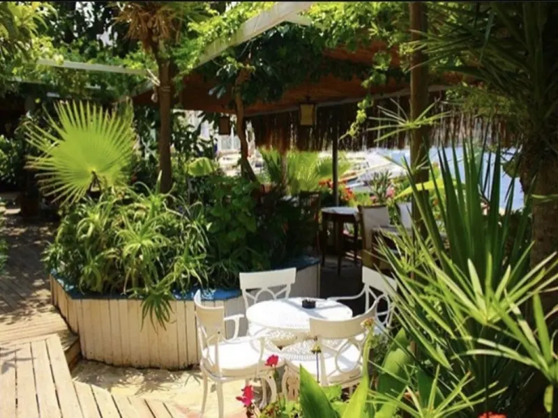Dolphin Boutique Hotel 3