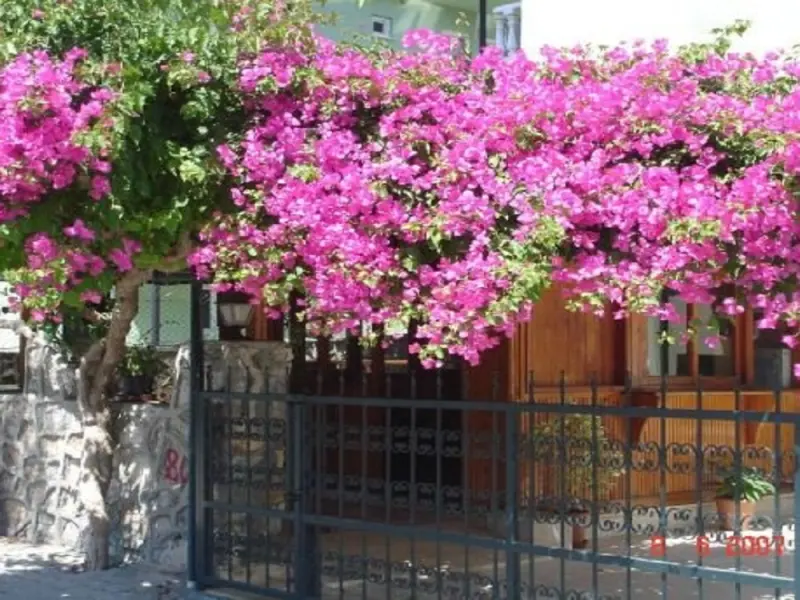 Otel Sevgi 3