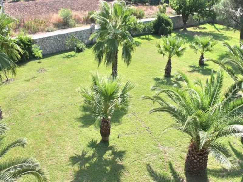 The Palm Apart Sarigerme 4