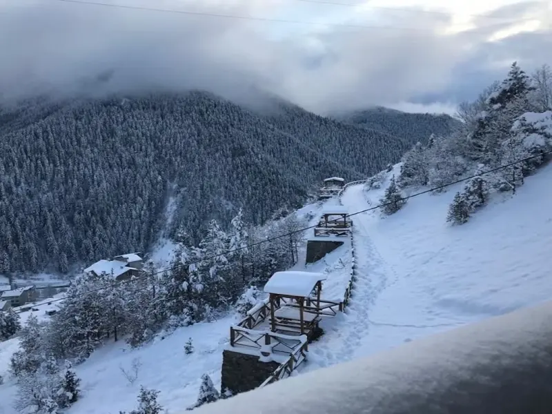 Şavşat Köşk Otel 6