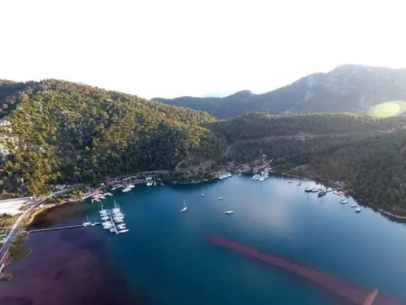 Erol Motel 24